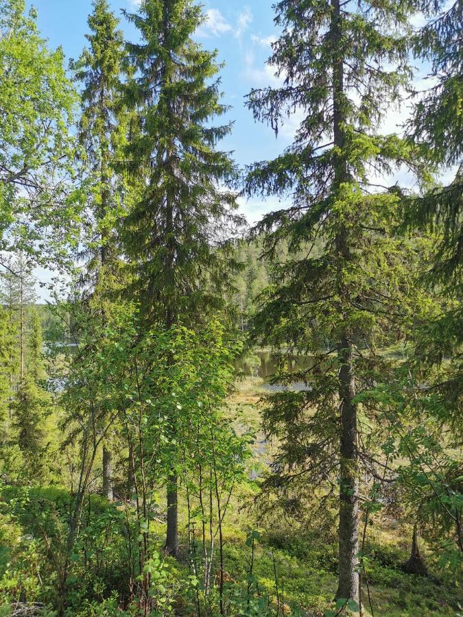 Salmikangas G4 Ruka Exteriör bild